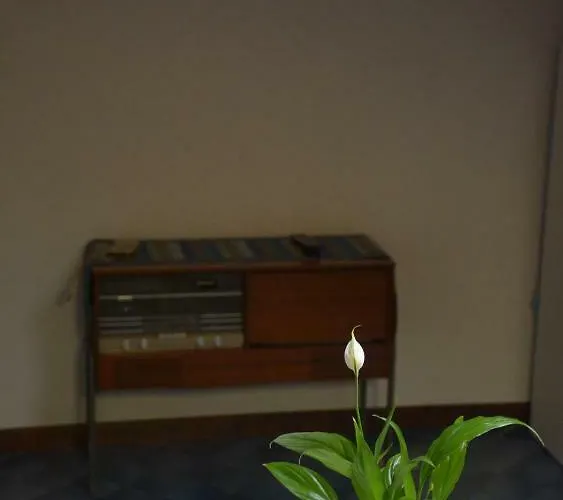 Διαμέρισμα Mansarda Natalie *